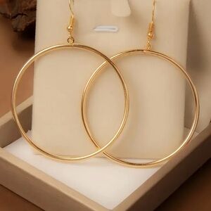 Front Facing Big Hoop Circle Earrings